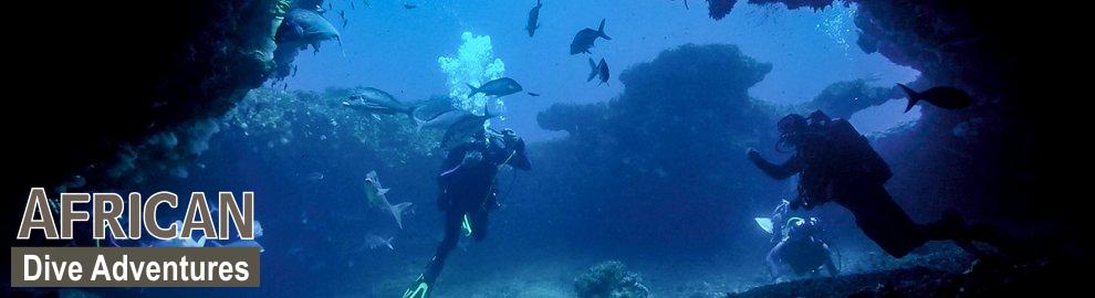 slide-reef-007