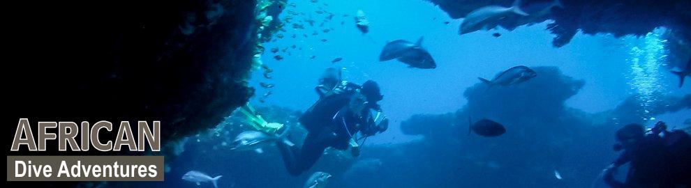 slide-reef-008