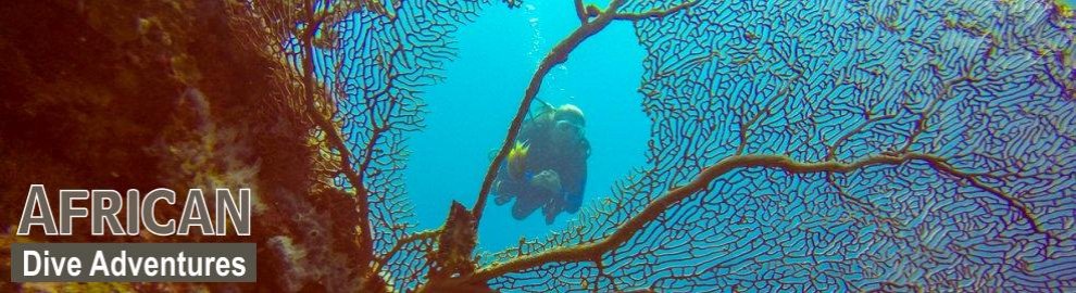 slide-reef-009