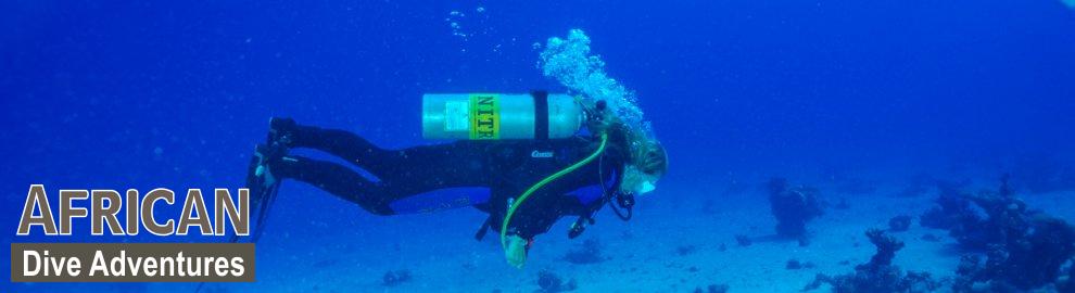 slide-reef-011
