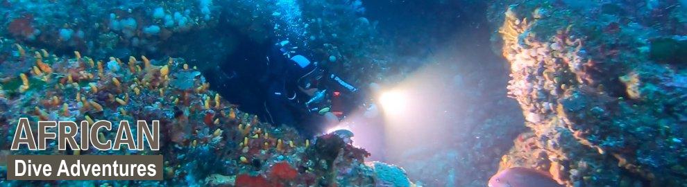 slide-reef-012