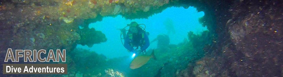 slide-reef-013