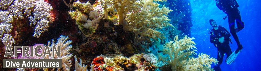 slide-reef-014