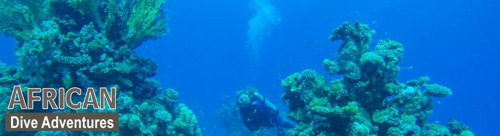 slide-reef-016