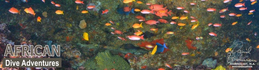slide-reef-023