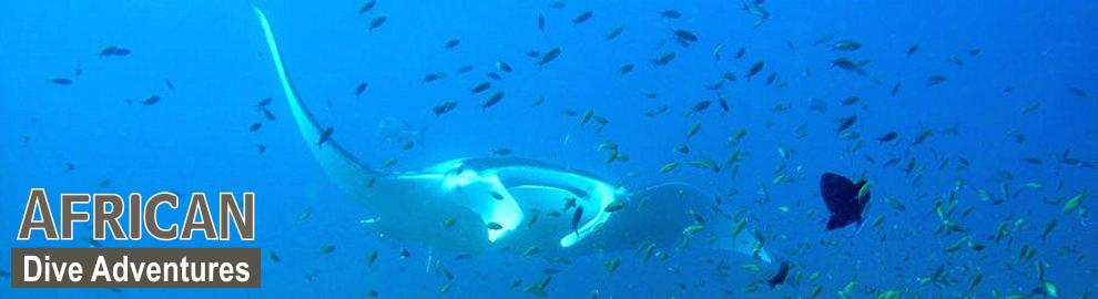 slide-reef-028
