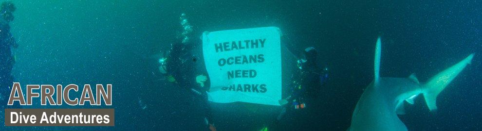 slide-sharkdiving-046